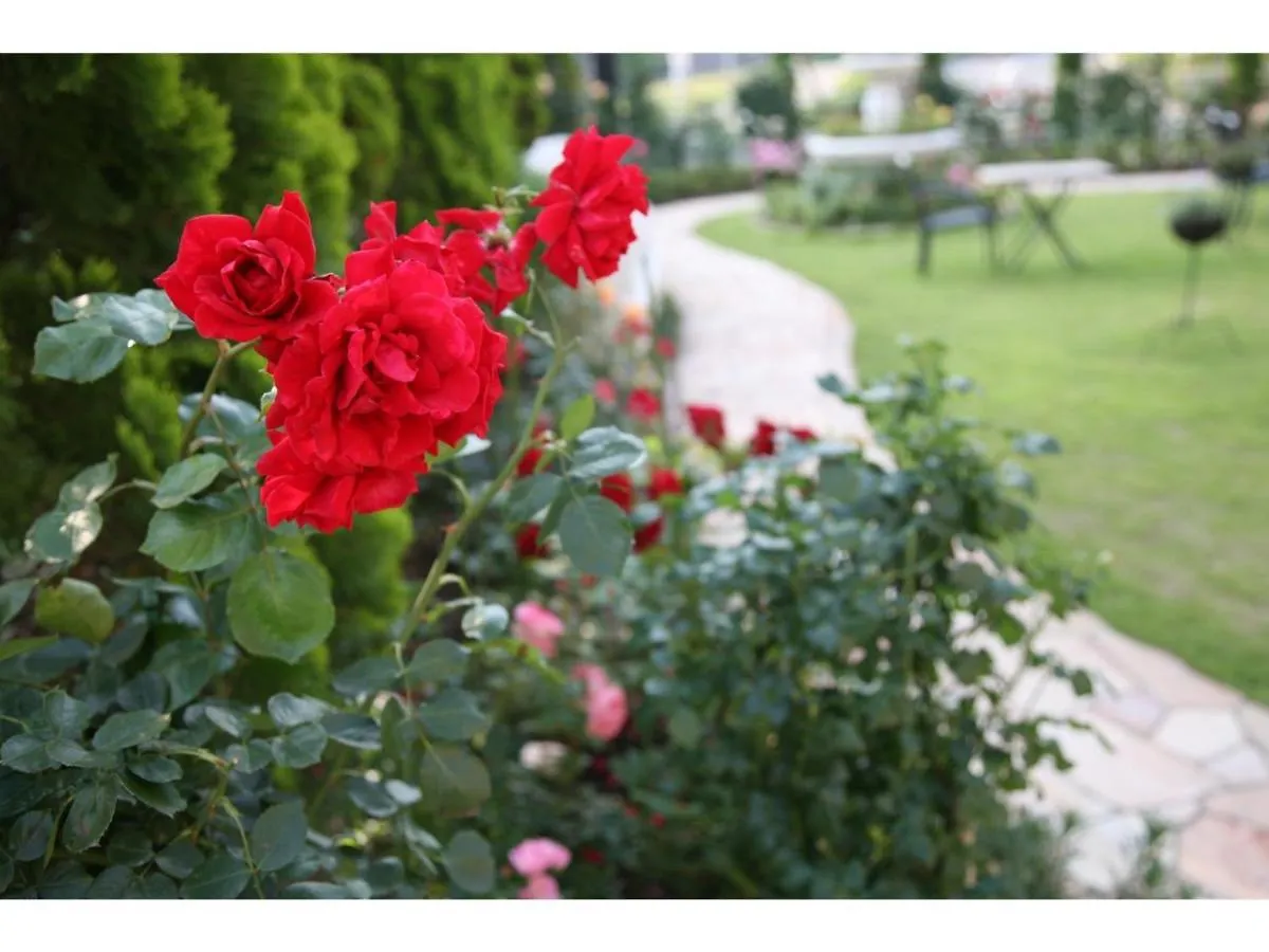 Hotel Sunlife Garden - Vacation Stay 55374V هيراتسوكا
